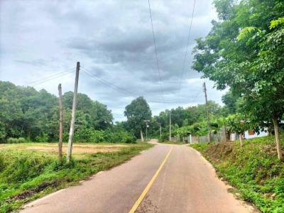 ที่ดิน 1950000 น่าน เมืองน่าน ในเวียง